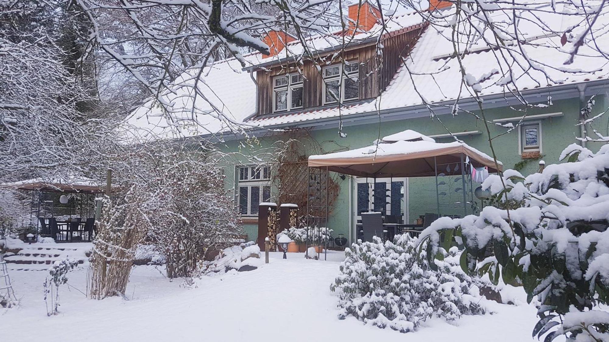 Ferienhaus Salvia Gremersdorf-Buchholz Екстер'єр фото