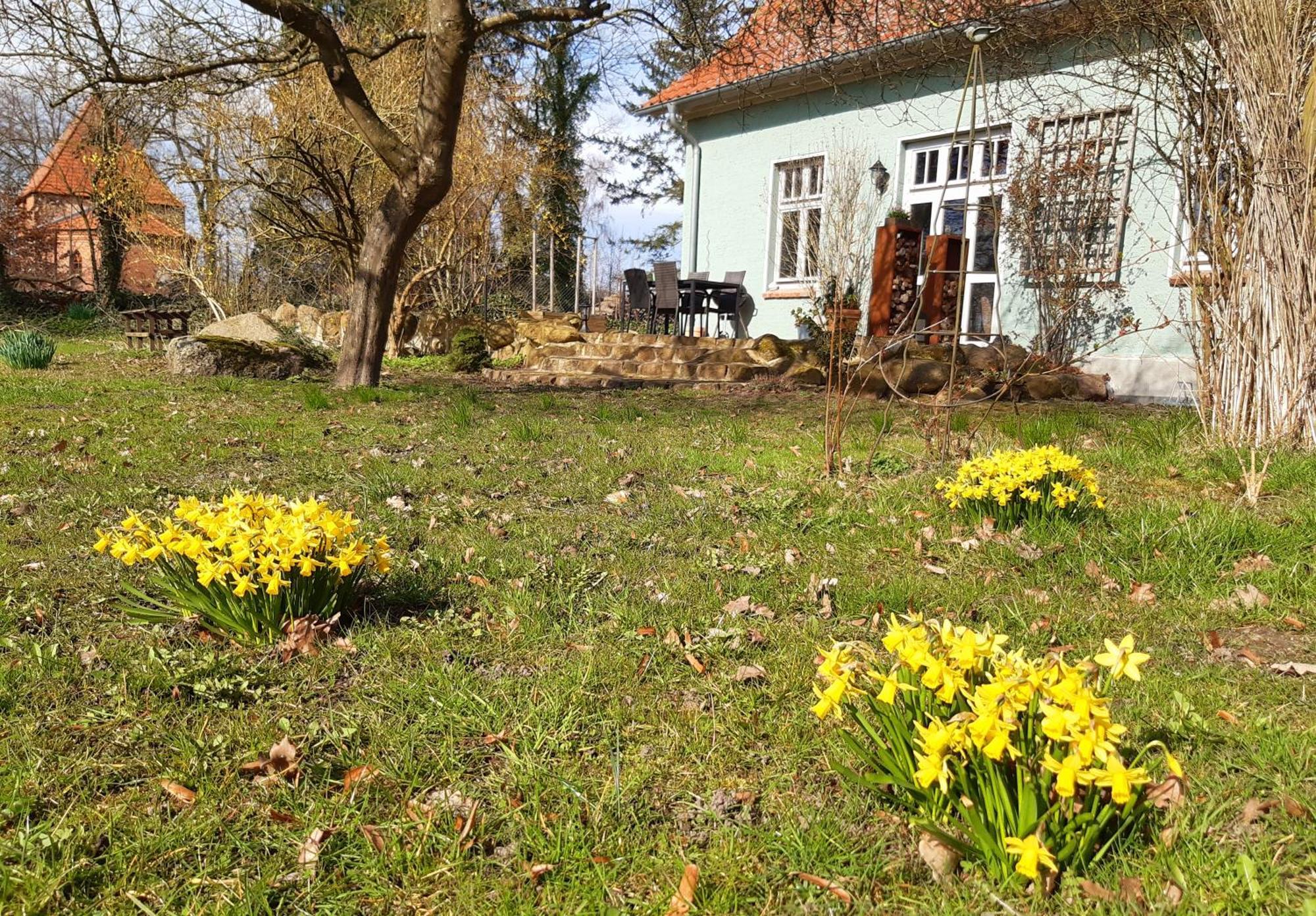 Ferienhaus Salvia Gremersdorf-Buchholz Екстер'єр фото