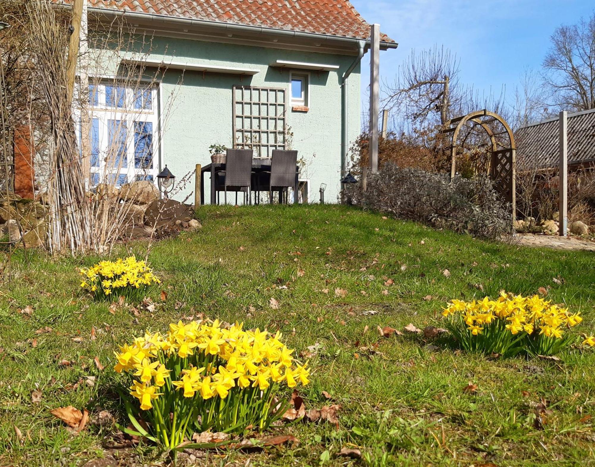 Ferienhaus Salvia Gremersdorf-Buchholz Екстер'єр фото