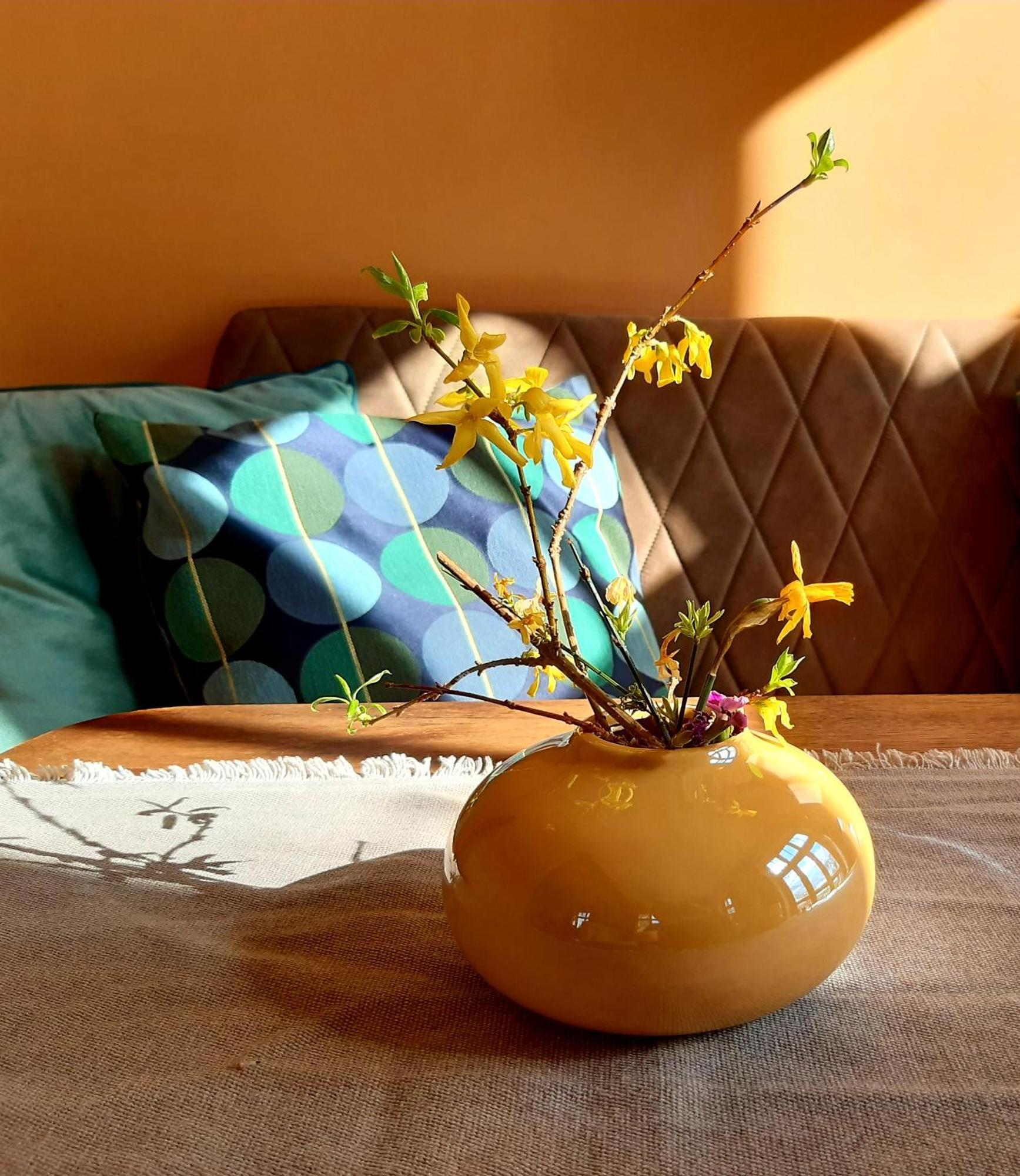 Ferienhaus Salvia Gremersdorf-Buchholz Екстер'єр фото