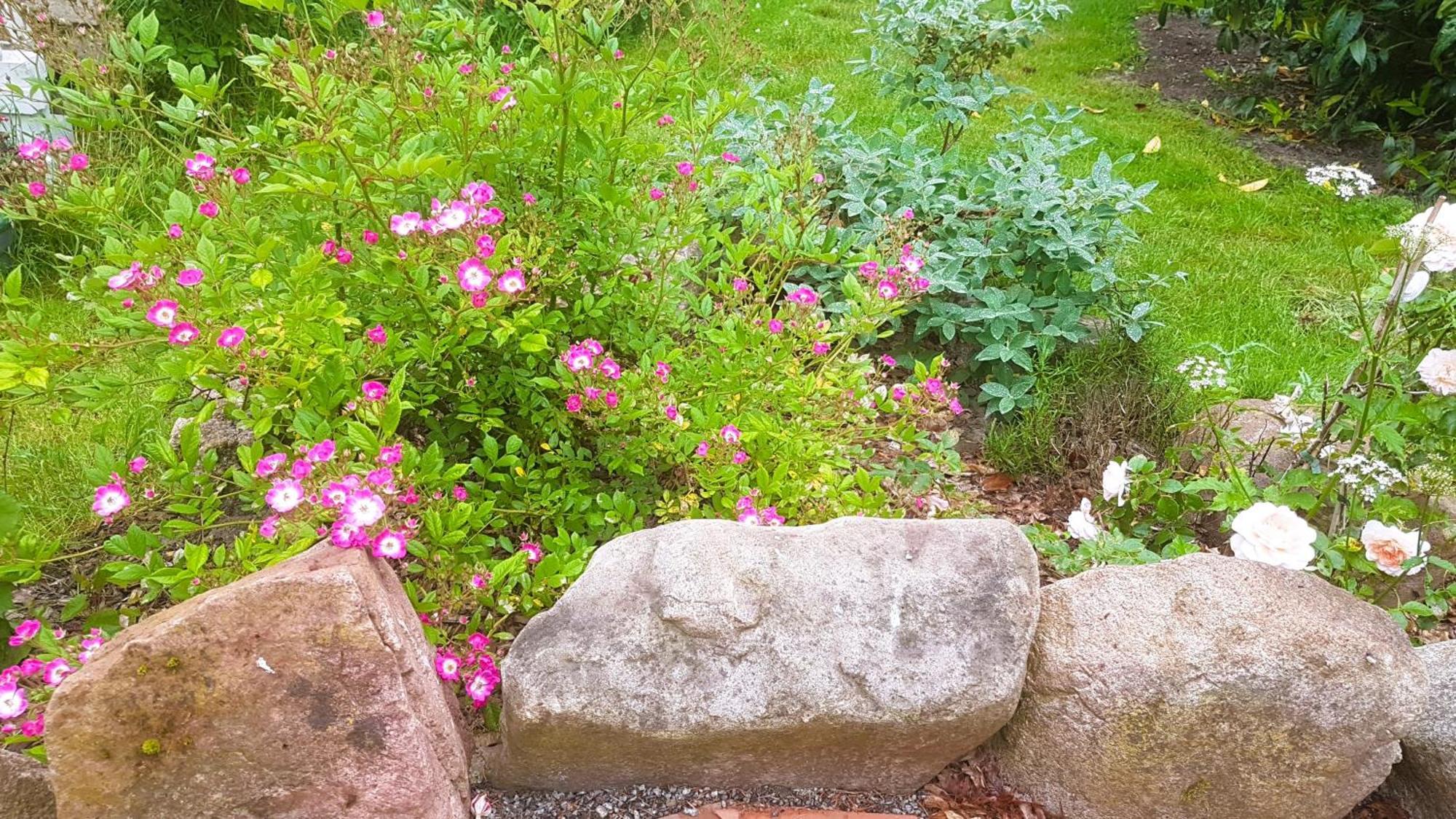 Ferienhaus Salvia Gremersdorf-Buchholz Екстер'єр фото