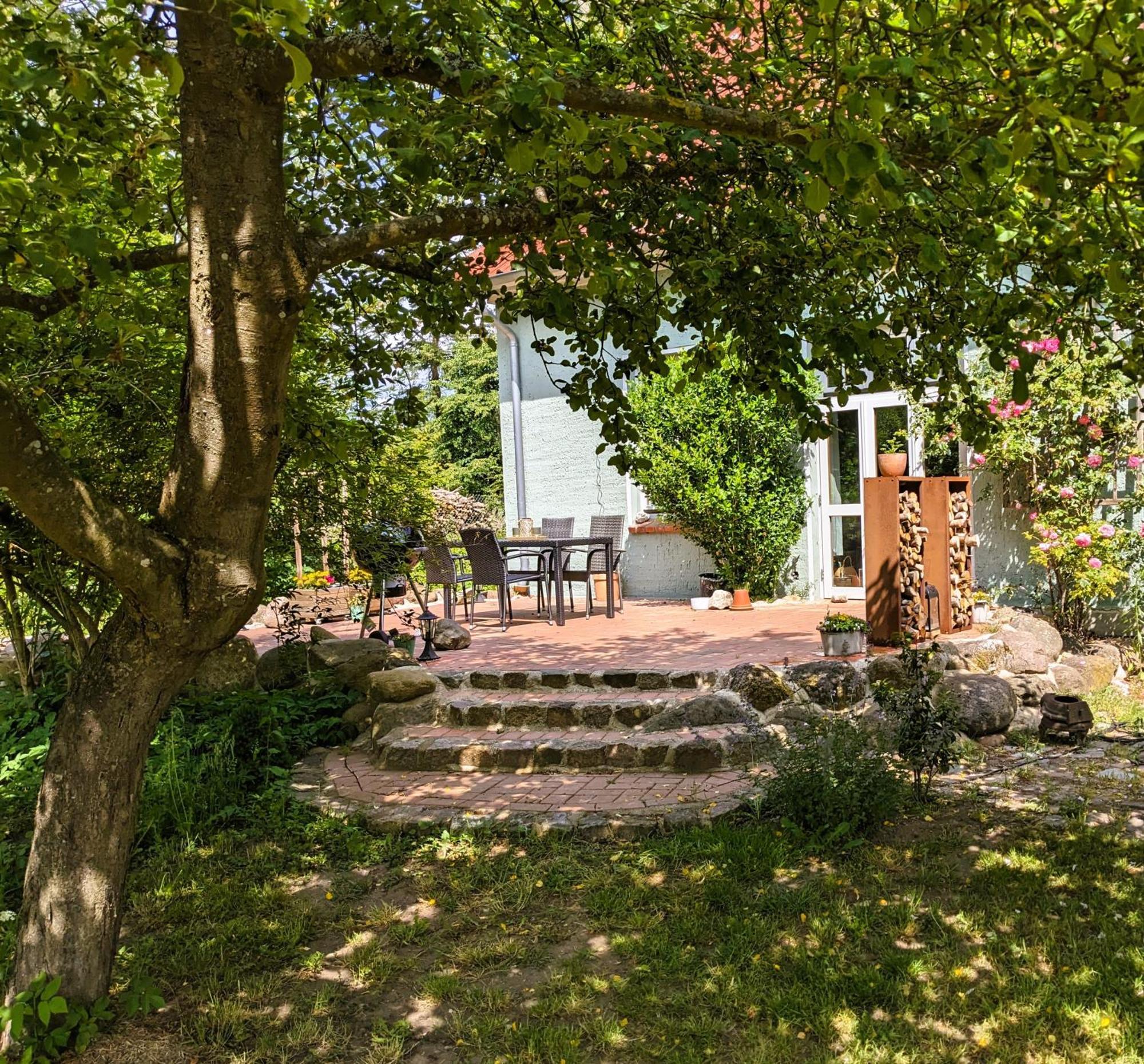 Ferienhaus Salvia Gremersdorf-Buchholz Екстер'єр фото